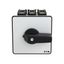 P3 Main switch, 80 A,Rear mounting, 3 pole, Form Z, Black, Door coupli thumbnail 3