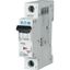 PL6-D13/1 Miniature circuit breaker (MCB), 13 A, 1p, characteristic: D thumbnail 2