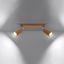 CEILING LAMP ZEKE 2 OAK GU10 2X40W IP20 thumbnail 7