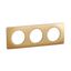 PLATE 3 GANG SATIN BRASS thumbnail 3