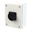 P3 Main switch, 80 A,Surface mounting, 3 pole, Form SE, Black, Door co thumbnail 6