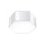 CEILING LAMP SUNDE 13 WHITE E27 2X60W IP20 thumbnail 1