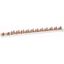 Z-SV-10/1P+N-F/13 Phase busbar, 2Ph, 10qmm, pin thumbnail 1