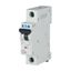 Miniature circuit breaker (MCB), 32 A, 1p, characteristic: Z thumbnail 12