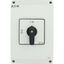 P3-100/I5 On-Off switch, P3, 100 A, surface mounting, 3 pole, with black thumb grip and front plate thumbnail 21