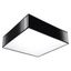CEILING LAMP HORUS 35 BLACK E27 2X60W IP20 thumbnail 1