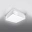 CEILING LAMP HORUS 35 WHITE E27 2X60W IP20 thumbnail 4