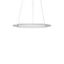 FLATLINER SLIM, 29 W, 2300 lm, 830, white, Phase-cut Pendant luminaire thumbnail 2