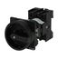 Main switch, P1, 40 A, rear mounting, 3 pole, STOP function, With black rotary handle and locking ring, Lockable in the 0 (Off) position thumbnail 4