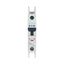 Miniature circuit breaker (MCB), 13 A, 1p, characteristic: D thumbnail 8
