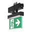 LINEDO, black, on/off Continuous line luminaire, L 336 B 62 H 343, SBS thumbnail 2
