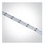 COB STRIP 24V DC RGB+WW 5m ROLL 18W/m IP20 thumbnail 1