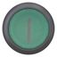 M22S-DL-G-X1 Illuminated pushbutton actuator, RMQ-Titan, Flush, momentary, green, inscribed, Bezel: black thumbnail 10