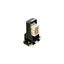 PCB plug-in connector, Accessories, Clip-in foot, black, Number of poles: 36 thumbnail 2