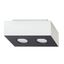 SPOT MONO 2 WHITE GU10 2X40W IP20 thumbnail 3