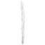 Decorative Twig Willow thumbnail 2