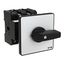 P3 Main switch, 80 A,Rear mounting, 3 pole, Form Z, Black, Door coupli thumbnail 4