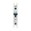 Miniature circuit breaker (MCB), 5 A, 1p, characteristic: C thumbnail 16