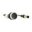 C22-D-S-K01-P5 Pushbutton, Flat, momentary, 1 NC, Cable (black) with M12A plug, 4 pole, 1 m, black, Blank, Bezel: titanium thumbnail 11