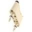 Fuse-holder, low voltage, 20 A, AC 660 V, BS thumbnail 4