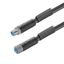 Power cable, Connecting line, M12 / M12, Number of poles : 5 (4 + PE), 5 m, pin, straight - socket, straight, Shielded: No, LED: No, Sheath material: PUR, Halogen: No thumbnail 3