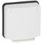Adaptor Mosaic- Plexo 66 - 2 mod - opaque lid - flush mounting thumbnail 2