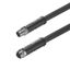 Power cable, Connecting line, M12 / M12, Number of poles : 3 (2 + PE), 6 m, pin, straight - socket, straight, Shielded: No, LED: No, Sheath material: PUR, Halogen: No thumbnail 2