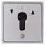 Blind push button 1-prong for key cylinder, flush-mounted, cast IP44 thumbnail 1