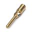CK1,6-ED-1,50ST AU - Crimp contact thumbnail 3