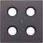 Centre plate AL2990-4SAT1AN thumbnail 2