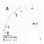 T0-1-8214/I1 Changeoverswitches, T0, 20 A, surface mounting, 1 contact unit(s), Contacts: 2, 45 °, momentary, With 0 (Off) position, with spring-return from both d thumbnail 19