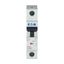 Miniature circuit breaker (MCB), 6 A, 1p, characteristic: Z thumbnail 6