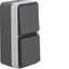 Combination socket + series switch with housing, W.1, grey thumbnail 1