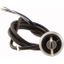 C22-WRS-MS1-K02-P65 Key-operated actuator, RMQ compact solution, maintained, 2 NC, Cable (black) with non-terminated end, 4 pole, 3.5 m, 2 positions, MS1, Bezel: titanium thumbnail 2