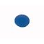 M22-XD-B Button plate, flat blue, blank thumbnail 1