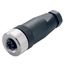 Field attachable connector, M12 thumbnail 2