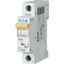 PL7-D13/1 Miniature circuit breaker (MCB), 13 A, 1p, characteristic: D thumbnail 1