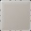 Blank centre plate for snap-on fixing CD594-0PT thumbnail 1