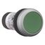 Pushbutton, flat, momentary, 1 N/O, green, Screw connection, Bezel: ti thumbnail 4