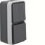 Combination socket outlet + series switch with housing, W.1, grey thumbnail 1