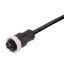 Sensor/actuator line, One end without connector, 7/8", Number of poles : 4 (3 + PE), 2 m, Female socket, straight, Shielded: No, LED: No, Sheath material: PUR, Halogen: No thumbnail 1