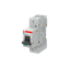 MD99 thumbnail 5