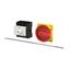 P3 Main switch, 80 A,Rear mounting, 3 pole, Form M4/SVB, Red, Door cou thumbnail 1