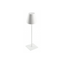 LED rechargeable table lamp FIZZI, 2.5 W, 200 lm, 5 V, 4000 K, 4000 mAh, dimmable, white thumbnail 1