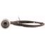 C22-DR-X-K10-P65 Pushbutton, classic, flat, maintained, 1 N/O, cable (black) with non-terminated end, 4 pole, 3.5 m thumbnail 2