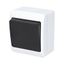 GALATEA Cross switch no. 7 10A 230V on plaster IP44 white/black thumbnail 1