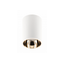 Ceiling luminaire housing ARIES, PC, 73x105mm, IP20, max. 20 W, round, white/gold thumbnail 1