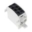 CU-Main branch terminal, 35mmý, 1-pole insulated black thumbnail 2