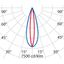 TRACK 500 21 ELL 3K DALI thumbnail 7