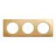 PLATE 3 GANG SATIN BRASS thumbnail 6